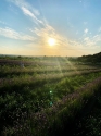 farma-lawendowa-rzeszow.jpg